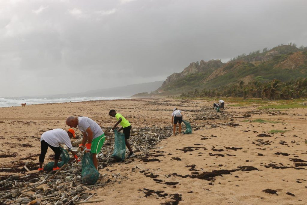 Seaside cleanup